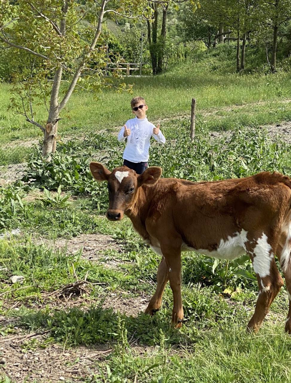 Momenti di felicità