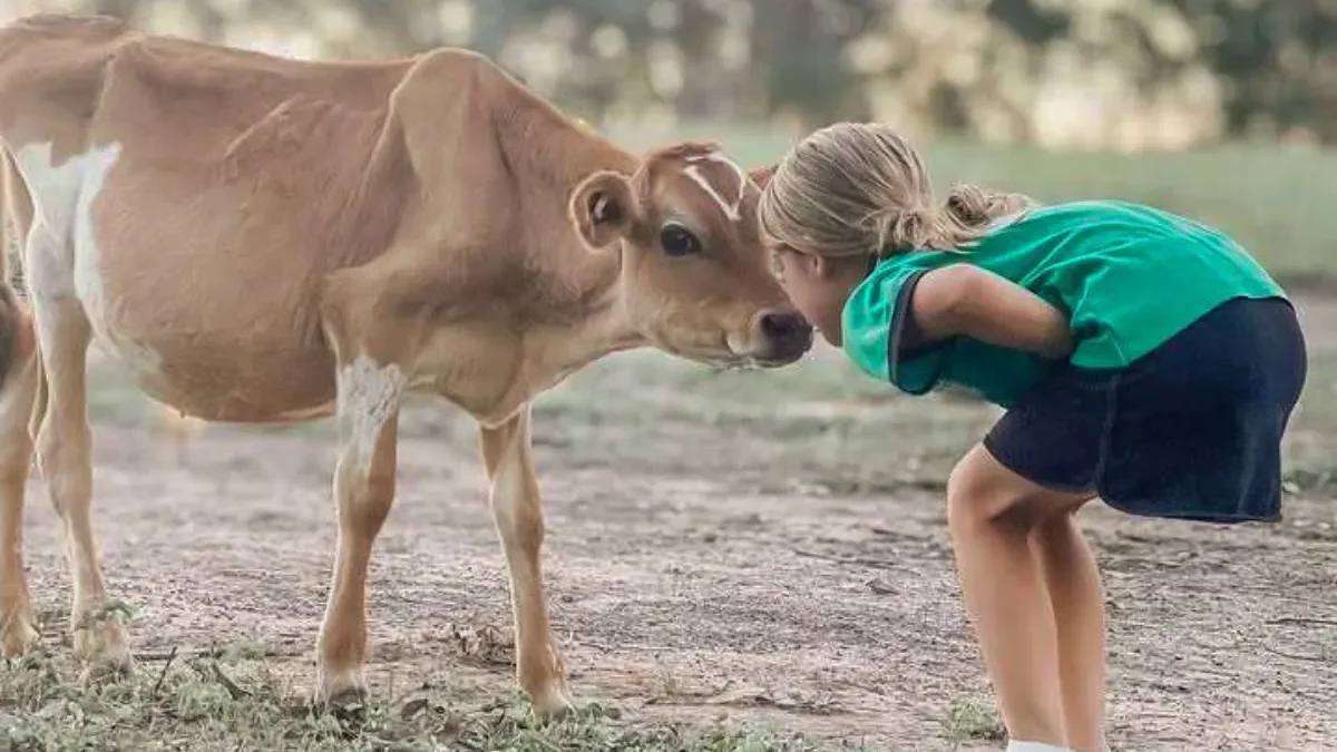 Gioia e convivialità
