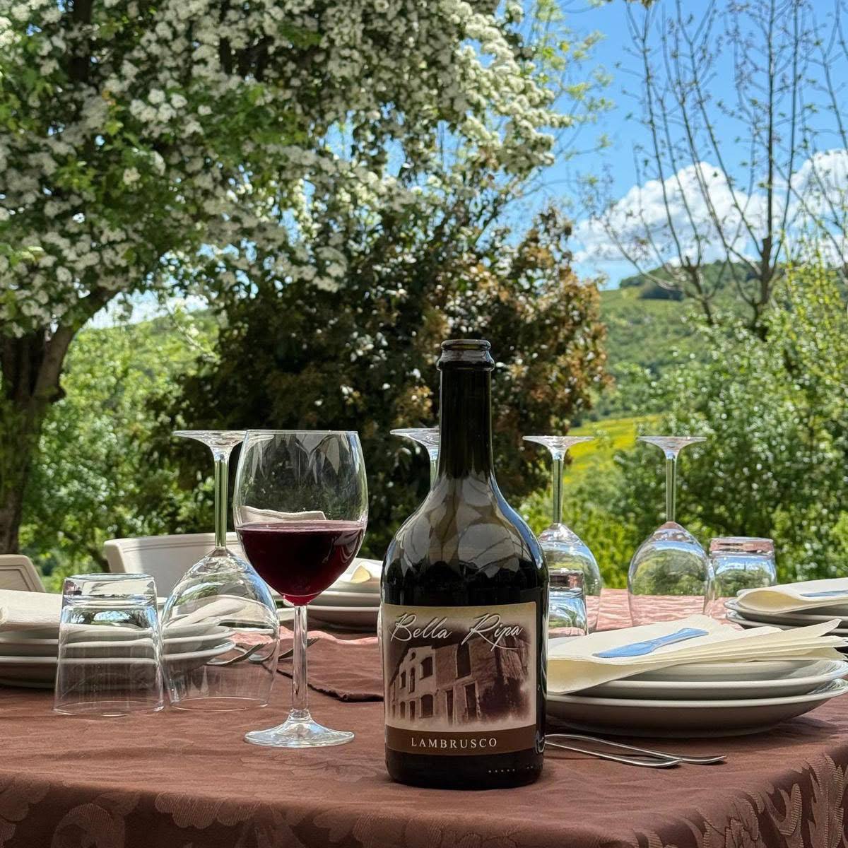 Lambrusco della Casa